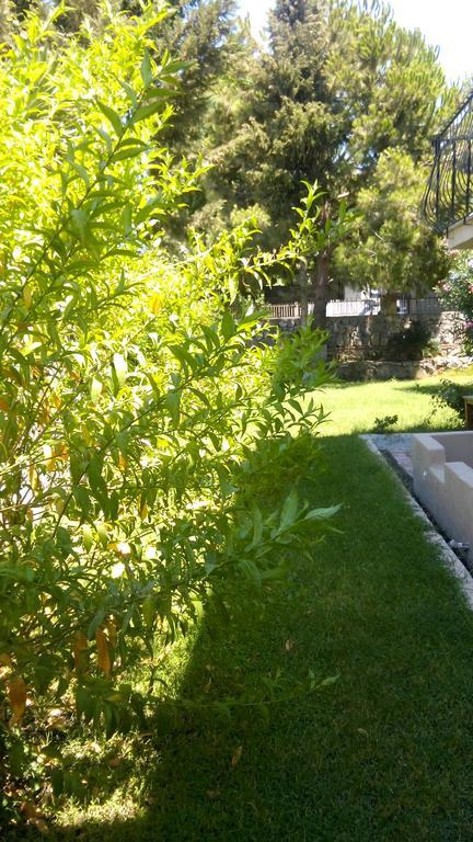 Poppy Apartments Fethiye Ruang foto